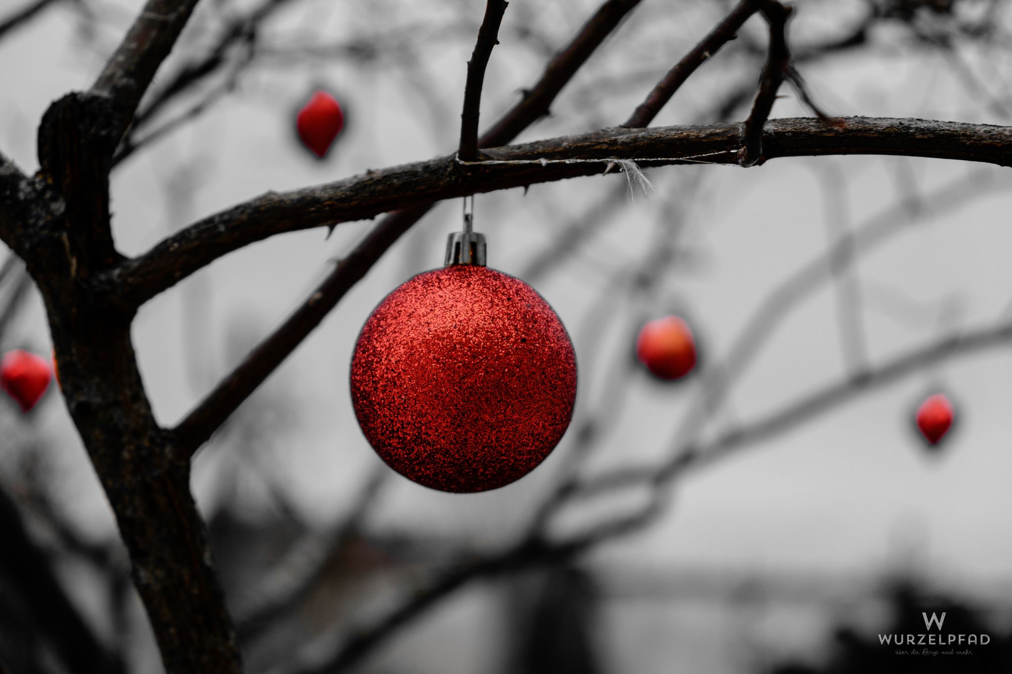 Weihnachtsbaumschmuck, Holzhausen, Bayern, Deutschland, 2021